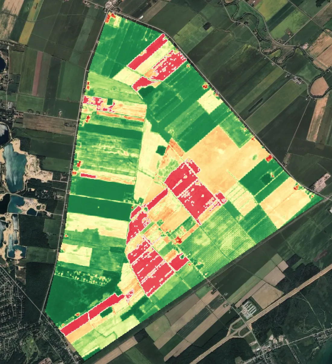 Field-level vegetation health analysis