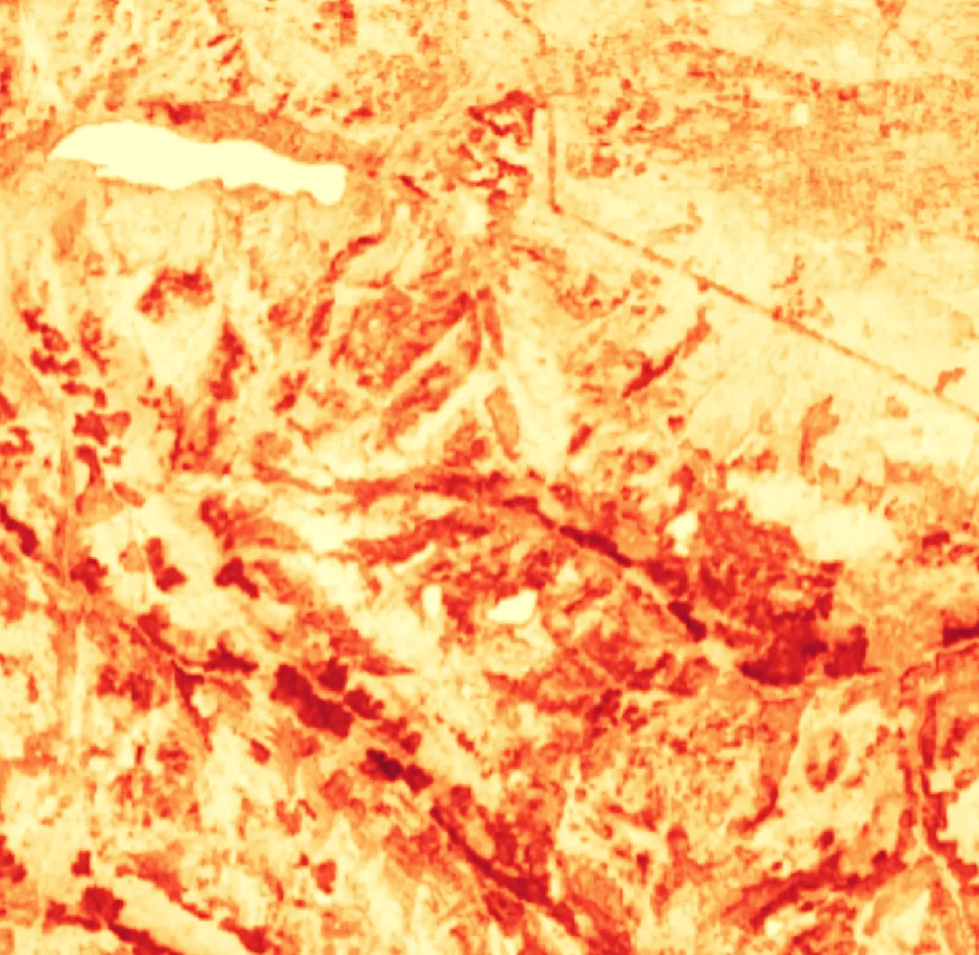 Wildfire hotspot analysis